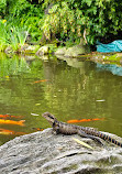 Chinese Garden of Friendship