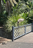 The First European Garden in the Continent of Australia