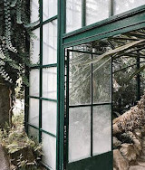 The Sydney Fernery