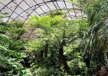 The Sydney Fernery