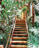 The Sydney Fernery