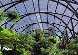 The Sydney Fernery