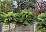 The Sydney Fernery