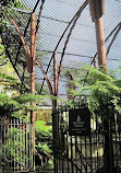 The Sydney Fernery