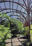 The Sydney Fernery