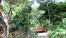 The Sydney Fernery