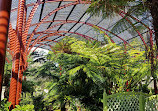 The Sydney Fernery