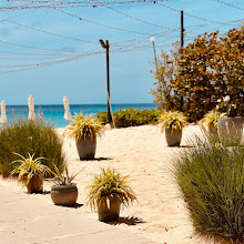 Blanchards Restaurant and Beach Shack