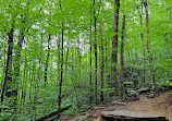 Skinny Dip Falls Trailhead