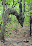 Skinny Dip Falls Trailhead