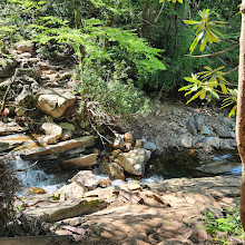 Skinny Dip Falls Trailhead