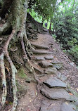 Skinny Dip Falls Trailhead