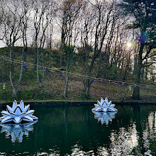 Peasholm Park