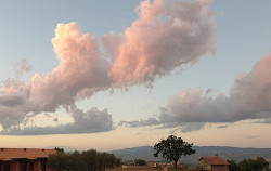 Agriturismo Le Querce