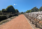 Babylonstoren