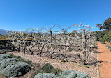 Babylonstoren