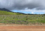 Babylonstoren