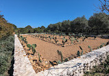 Babylonstoren