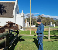 Babylonstoren Garden Spa