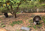 Babylonstoren Garden Spa