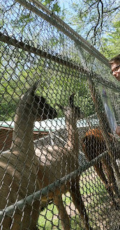 High Park Zoo