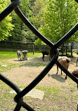 High Park Zoo