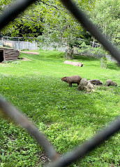 High Park Zoo