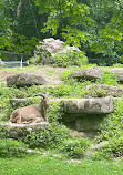 High Park Zoo