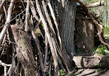 High Park Labyrinth