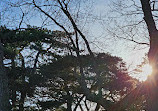 High Park Labyrinth