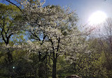 High Park Labyrinth