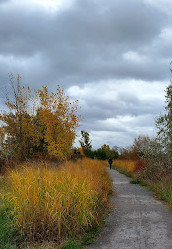 Tommy Thompson Park