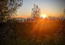 Tommy Thompson Park