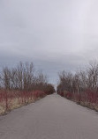 Tommy Thompson Park