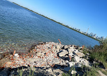 Tommy Thompson Park