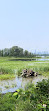 Tommy Thompson Park