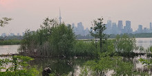 Tommy Thompson Park