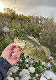 Tommy Thompson Park