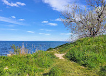 Tommy Thompson Park