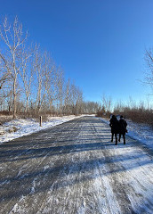 Tommy Thompson Park