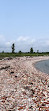 Tommy Thompson Park