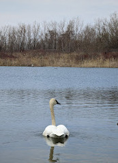 Tommy Thompson Park