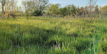 Tommy Thompson Park