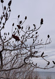 Tommy Thompson Park