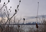 Tommy Thompson Park