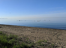 Sunnyside Boardwalk