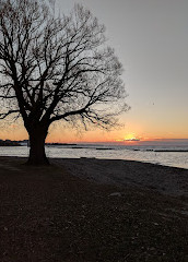 Sunnyside Boardwalk