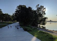 Sunnyside Boardwalk