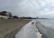 Sunnyside Boardwalk