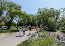 Sunnyside Boardwalk